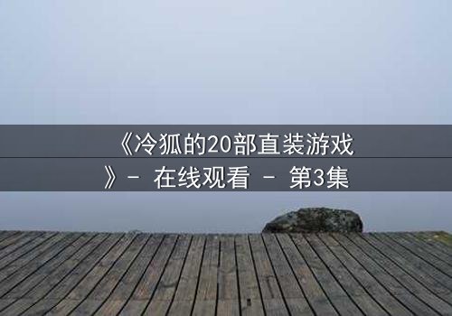 《冷狐的20部直装游戏》- 在线观看 - 第3集